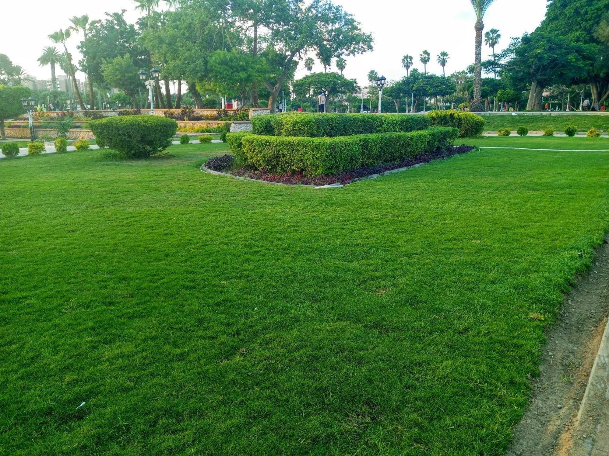 Apartment Fayrouzat Smoha Near The With Open View